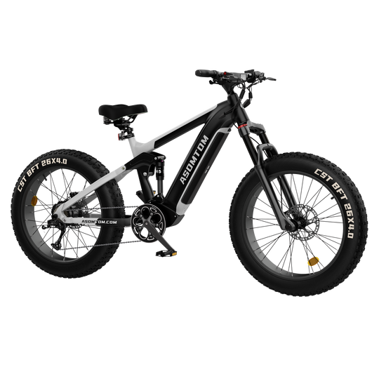 Full-Suspension Fat Tire SR6