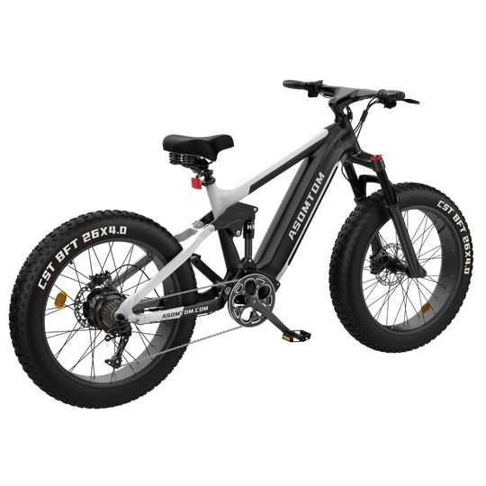 Full-Suspension Fat Tire SR6
