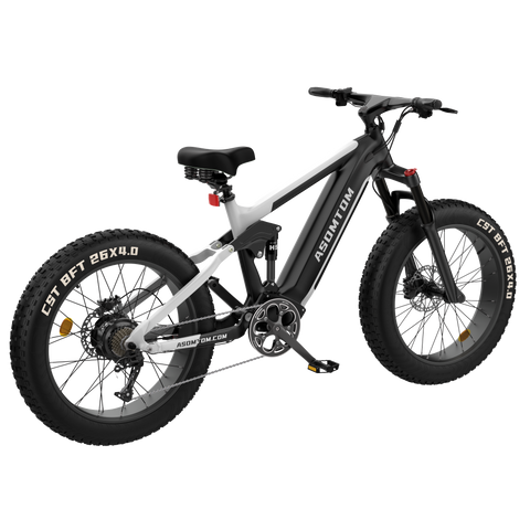 Full-Suspension Fat Tire SR6