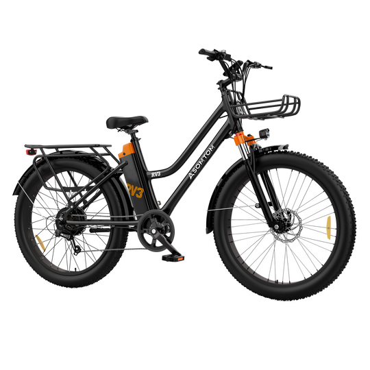 Urban Commuter Elegance E-Bike RV3