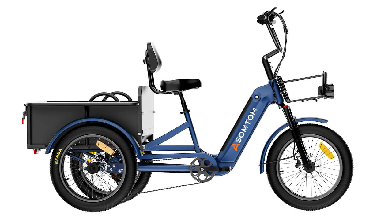 Adult 3-Wheel Cargo Ebike WHALE 2.0 with Metal Frame