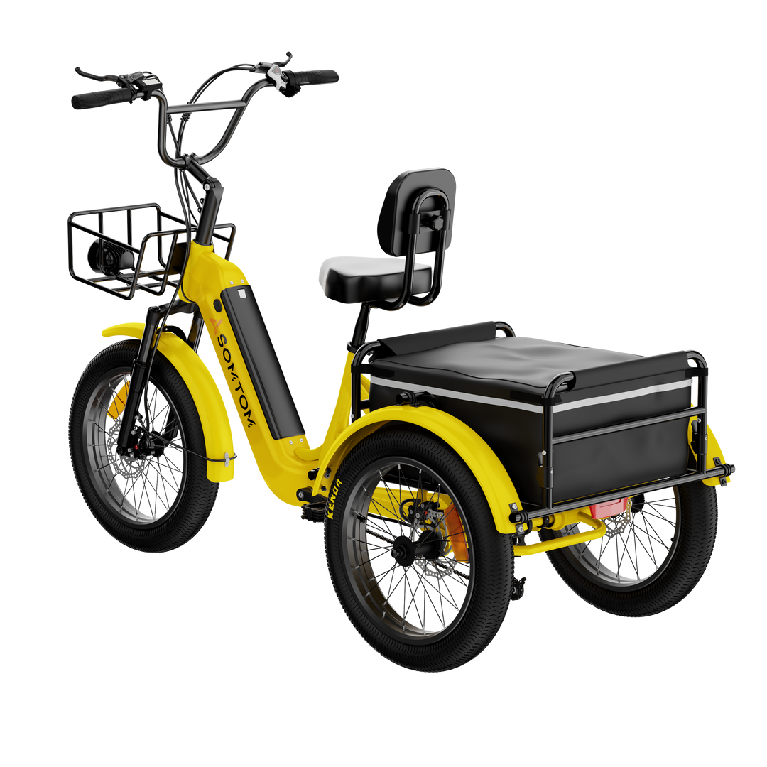 Adult 3-Wheel Cargo Ebike WHALE 2.0 with Canvas Bag
