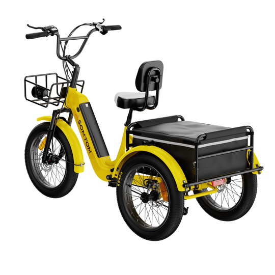 Adult 3-Wheel Cargo Ebike WHALE 2.0 with Canvas Bag