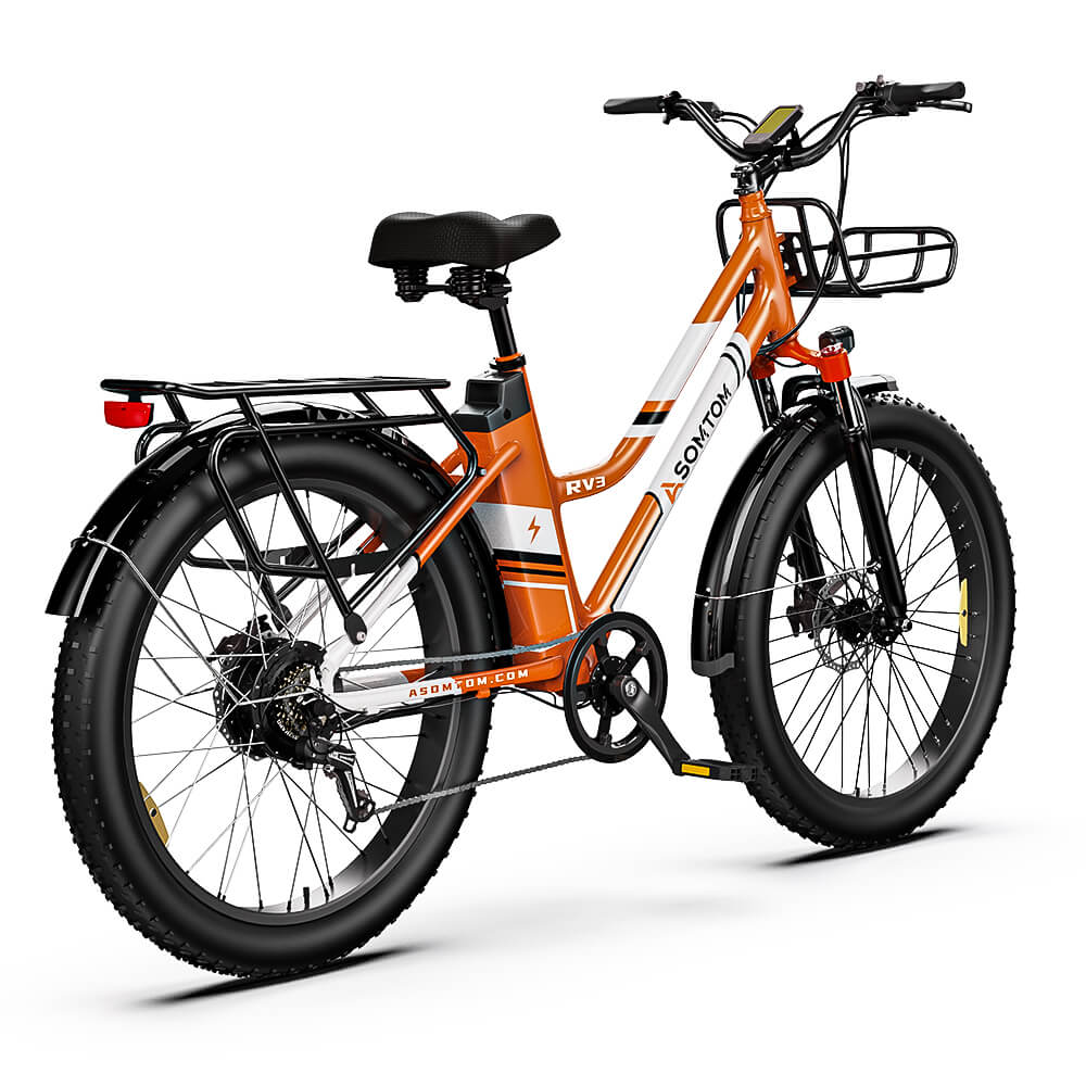 Urban Commuter Elegance E-Bike RV3