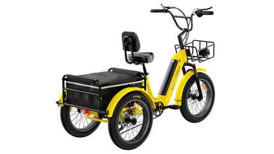 High-Capacity Durable E-Trike WHALE