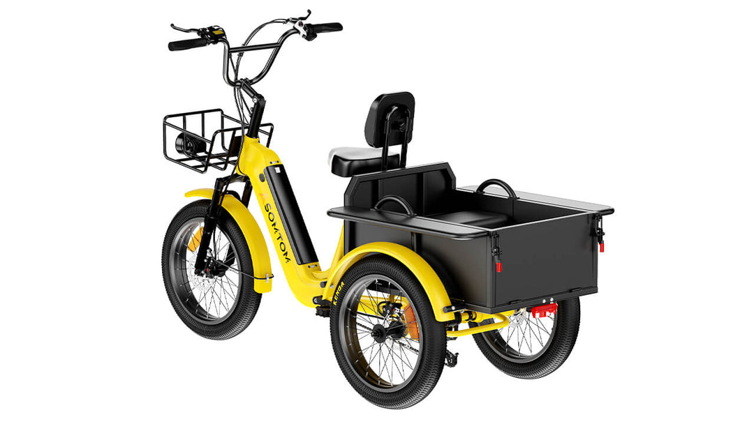 High-Capacity Durable E-Trike WHALE