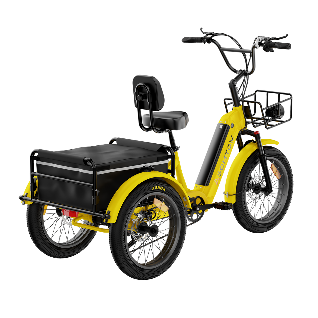 Adult 3-Wheel Cargo Ebike WHALE 2.0 with Canvas Bag