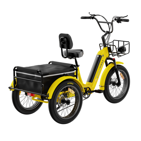 Adult 3-Wheel Cargo Ebike WHALE 2.0 with Canvas Bag