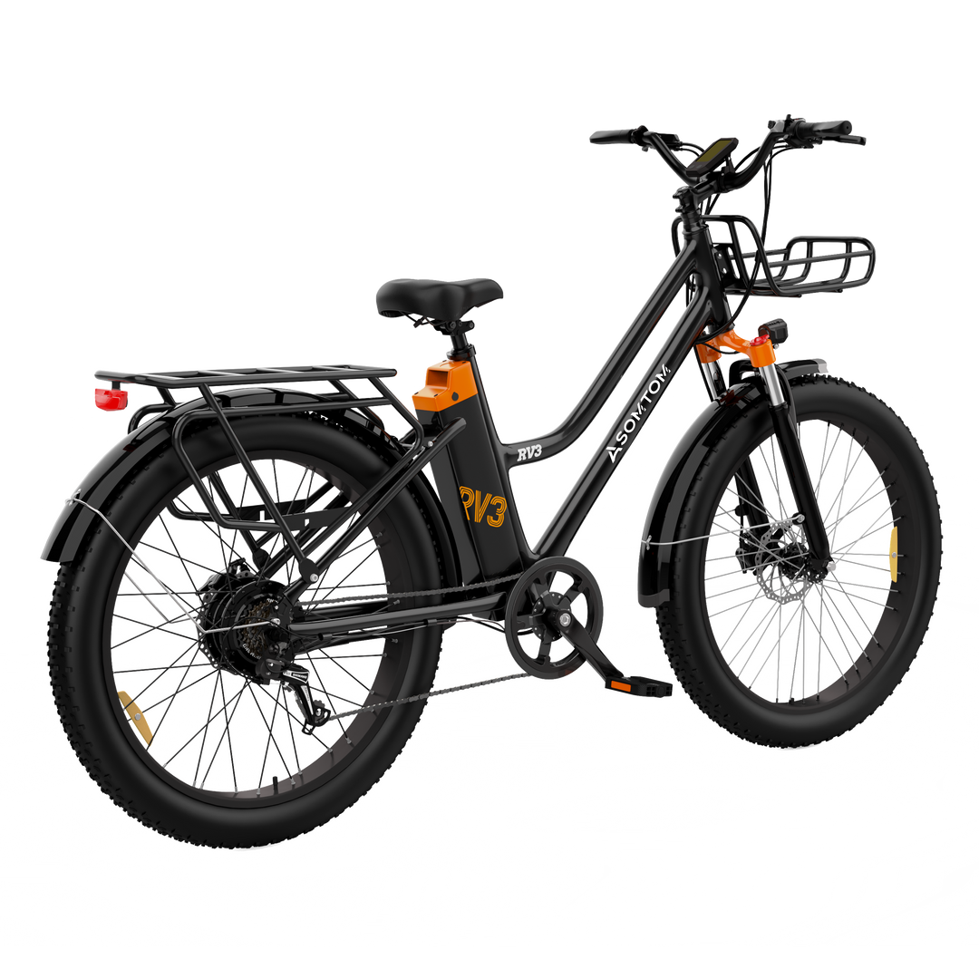 e bike urban metropolitan Urban Commuter Elegance E-Bike RV3