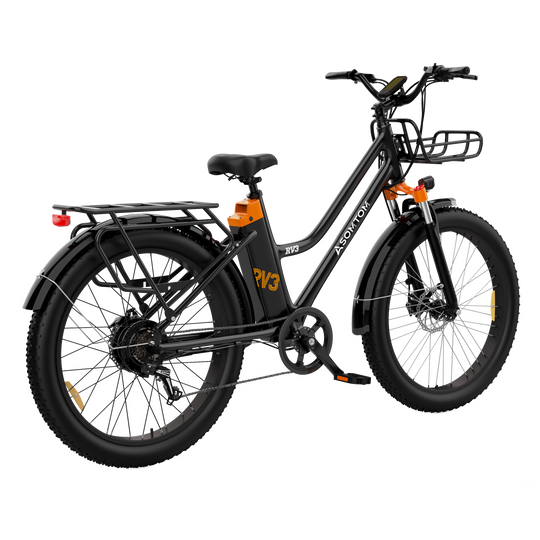Urban Commuter Elegance E-Bike RV3