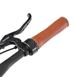best electric bicycle Twist Throttle 