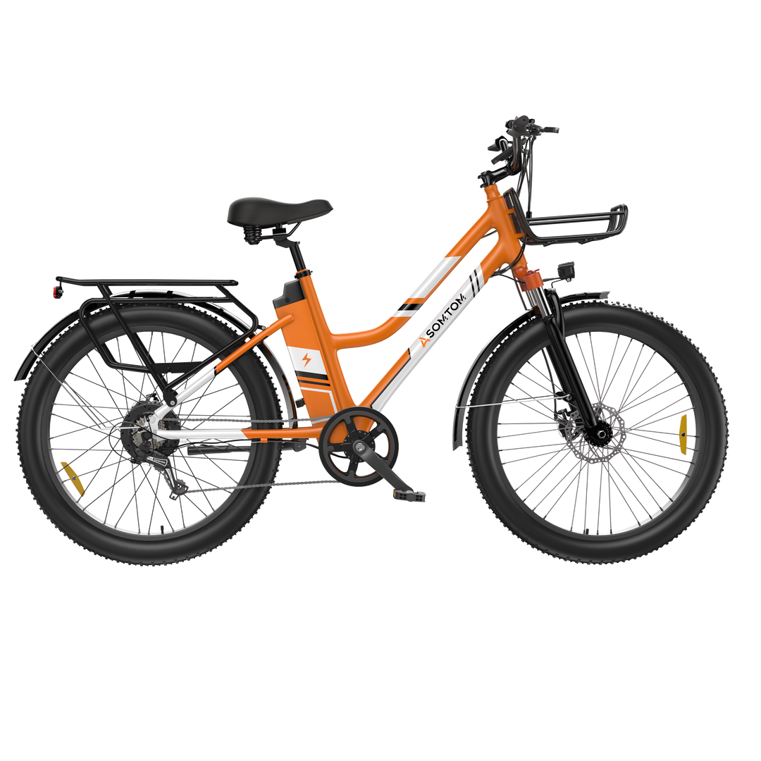 urban city e bike c3m roma Urban Commuter E-Bike RV3