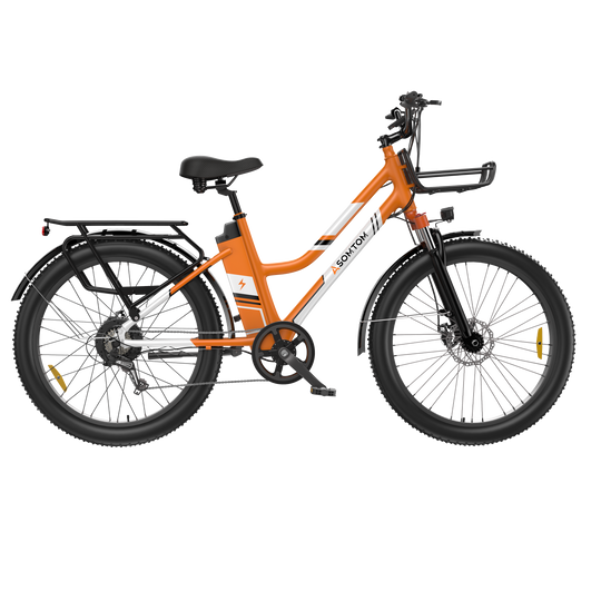Urban Commuter Elegance E-Bike RV3