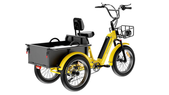 High-Capacity Durable E-Trike WHALE