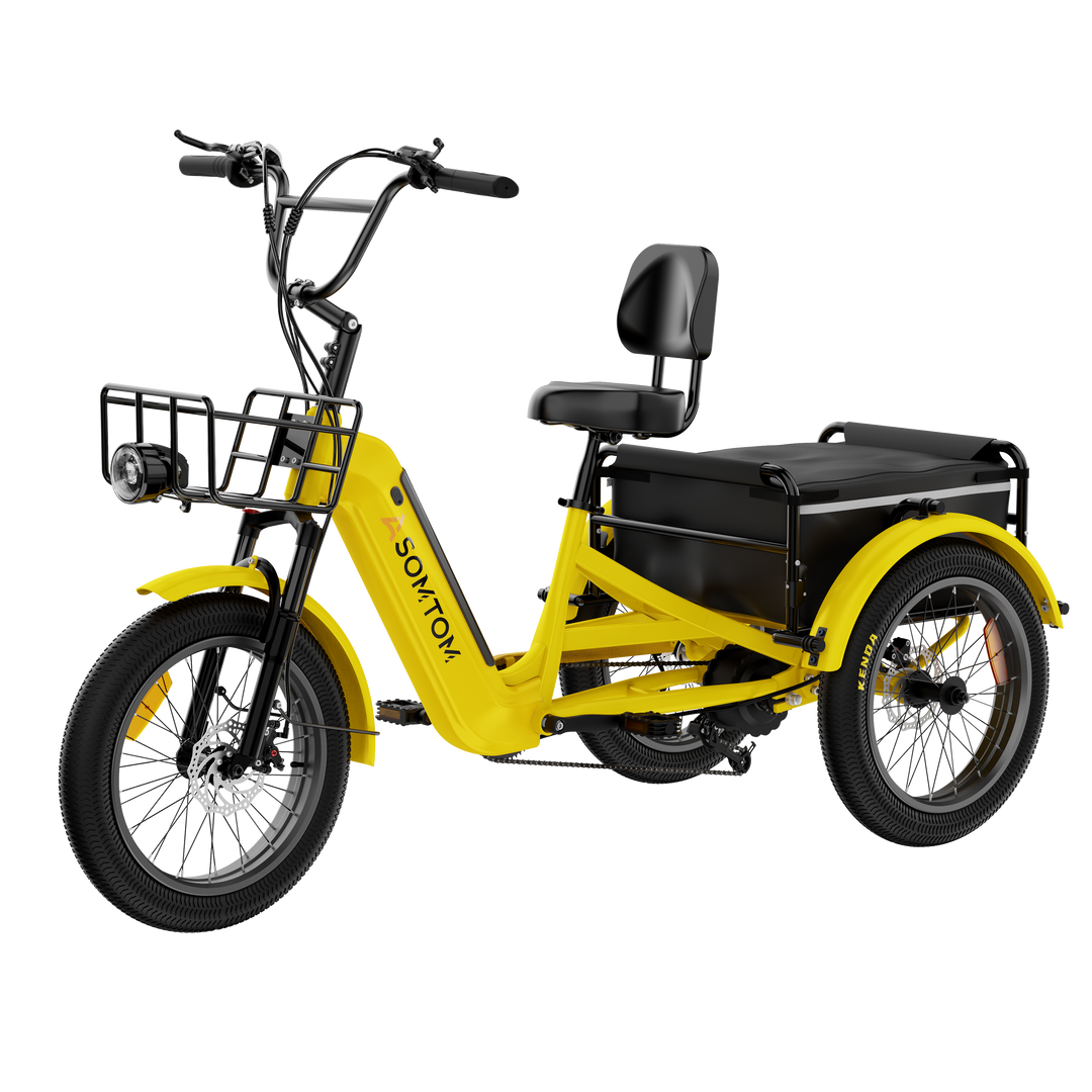 Adult 3-Wheel Cargo Ebike WHALE 2.0 with Canvas Bag
