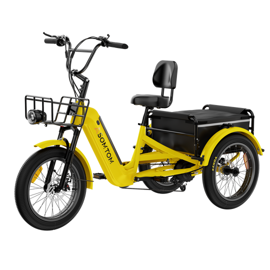 Adult 3-Wheel Cargo Ebike WHALE 2.0 with Canvas Bag