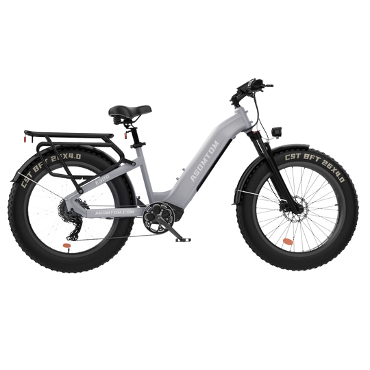 Step-through Adventure Explorer E300