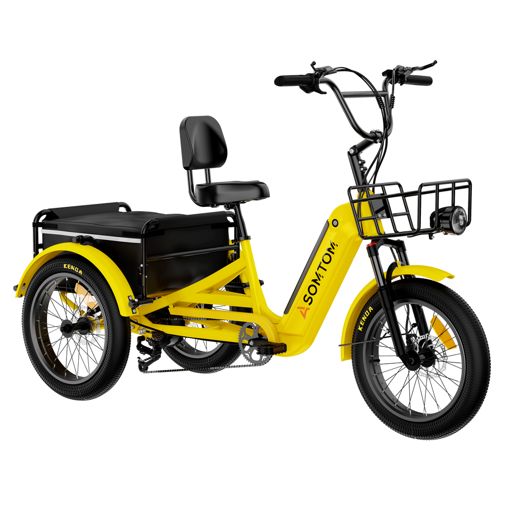 Adult 3-Wheel Cargo Ebike WHALE 2.0 with Canvas Bag