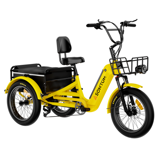 Adult 3-Wheel Cargo Ebike WHALE 2.0 with Canvas Bag