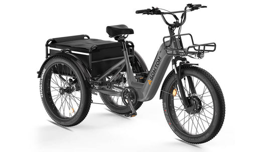 High-Capacity Durable E-Trike WHALE