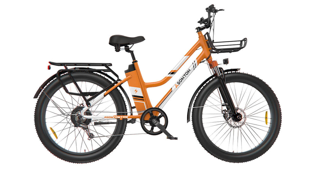 Urban Commuter Elegance E-Bike RV3