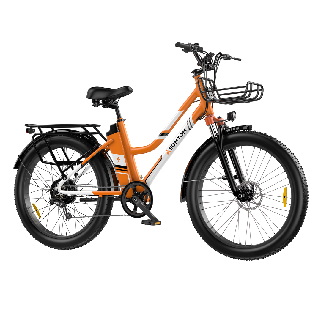Urban Commuter Elegance E-Bike RV3