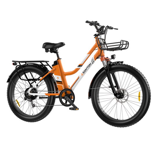 Urban Commuter Elegance E-Bike RV3