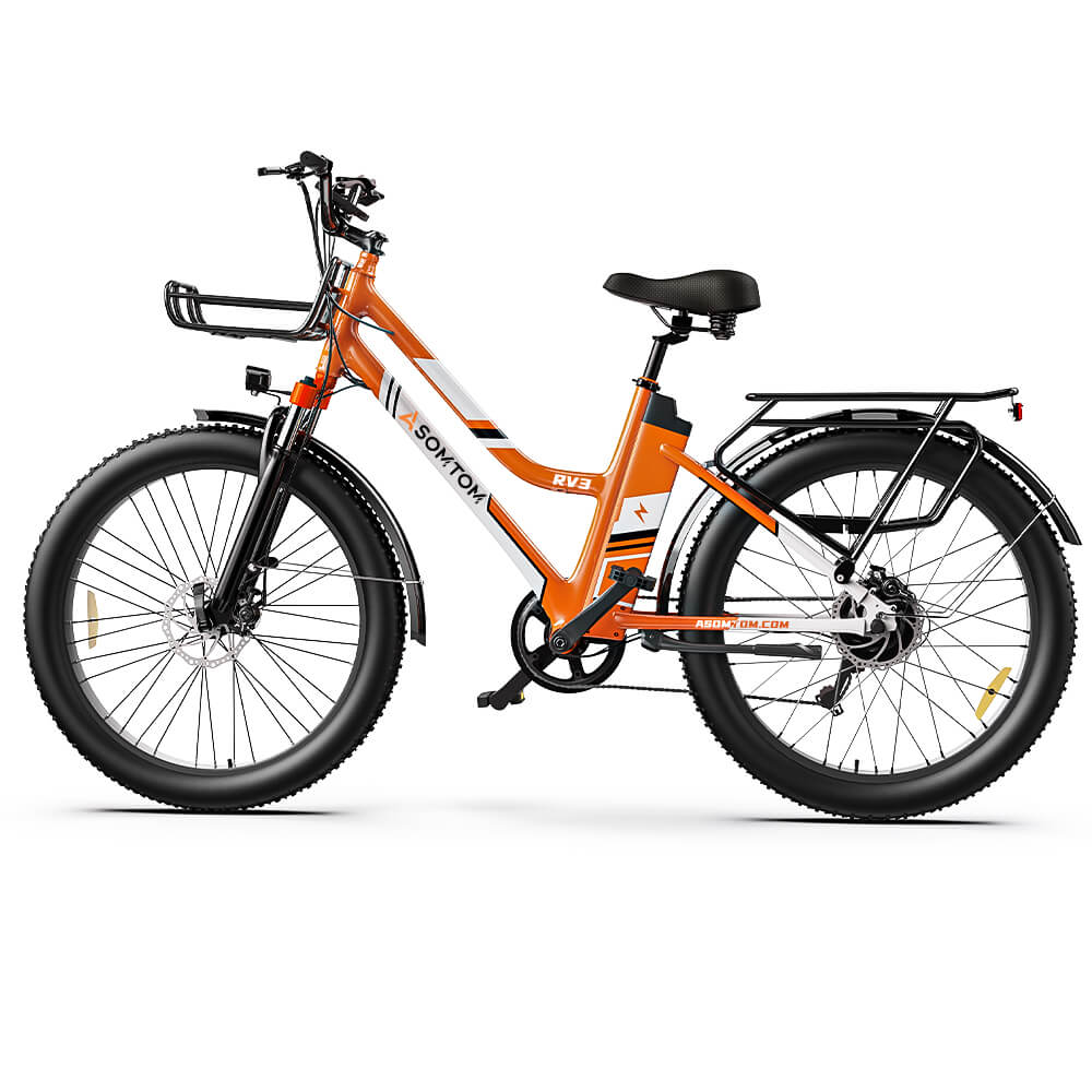 Urban Commuter Elegance E-Bike RV3