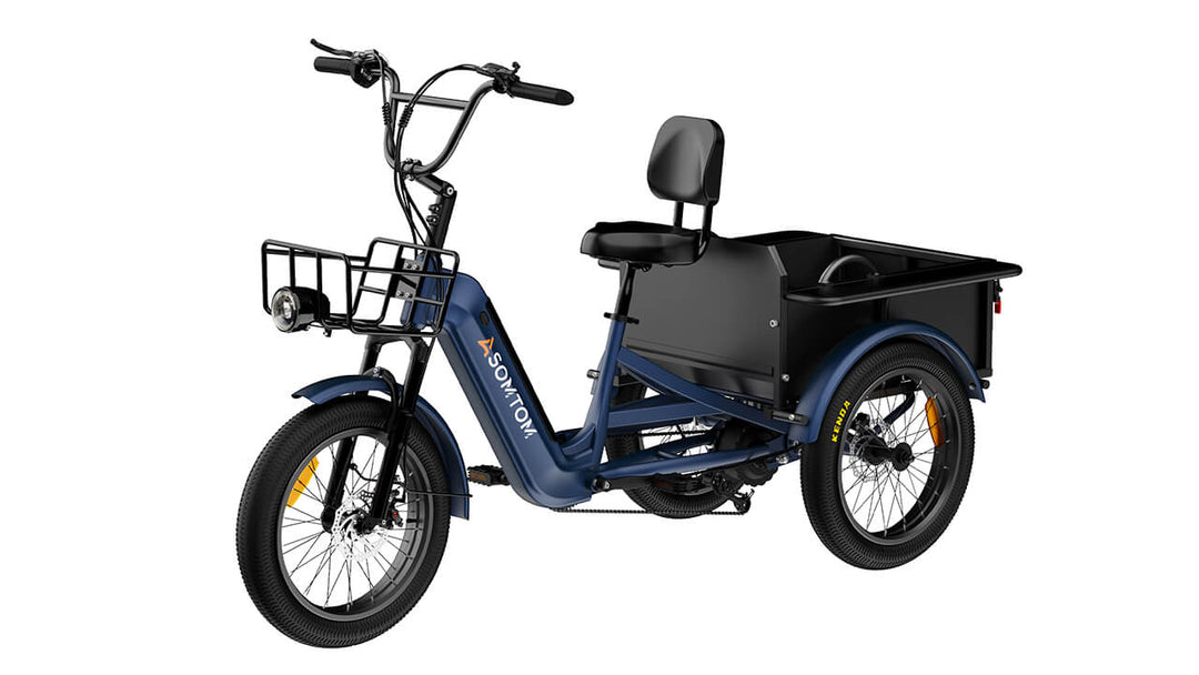 High-Capacity Durable E-Trike WHALE
