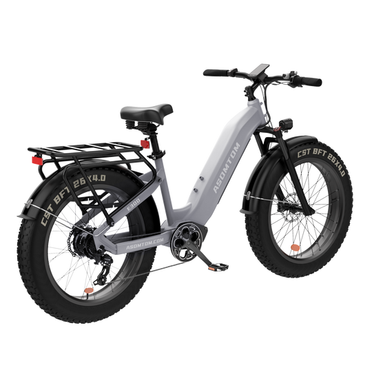 Step-through Adventure Explorer E300