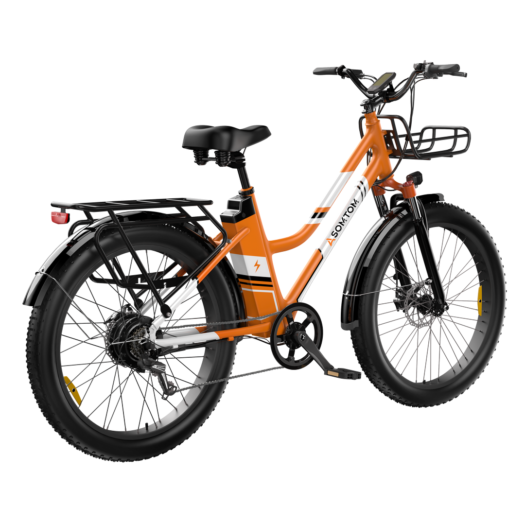 Urban Commuter Elegance E-Bike RV3