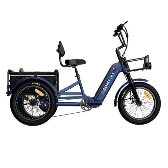 Adult 3-Wheel Cargo Ebike WHALE 2.0 with Canvas Bag
