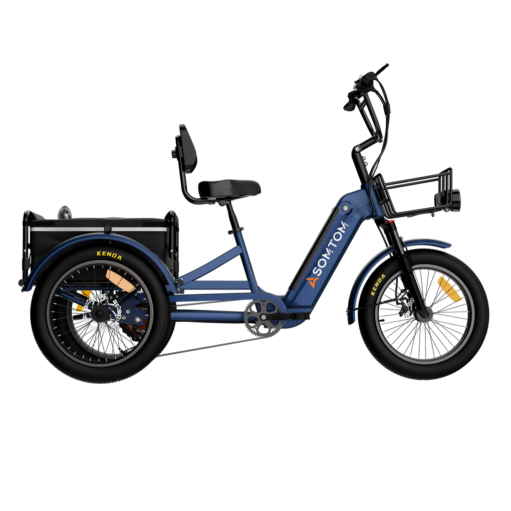 Adult 3-Wheel Cargo Ebike WHALE 2.0 with Canvas Bag