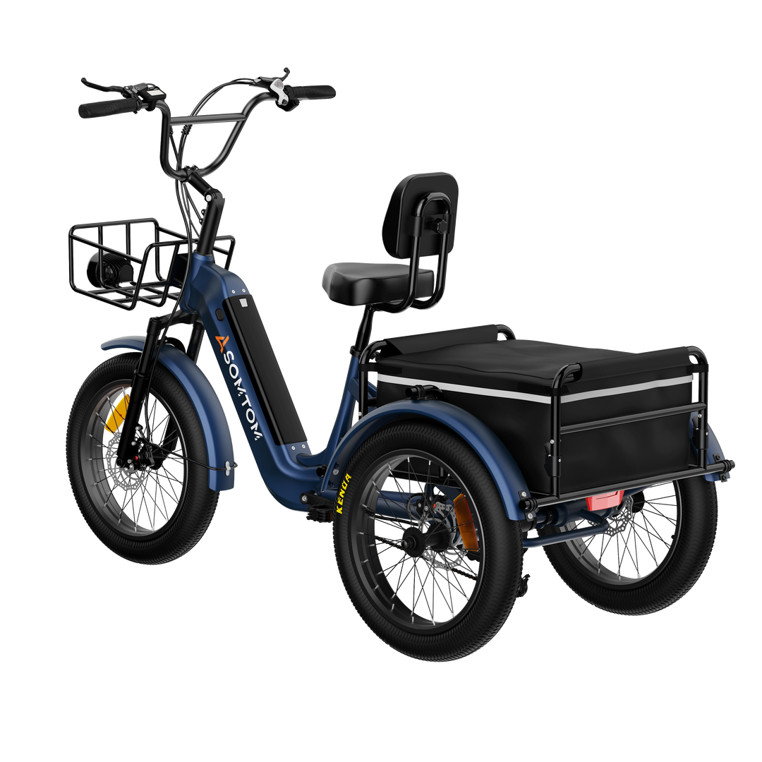 Adult 3-Wheel Cargo Ebike WHALE 2.0 with Canvas Bag