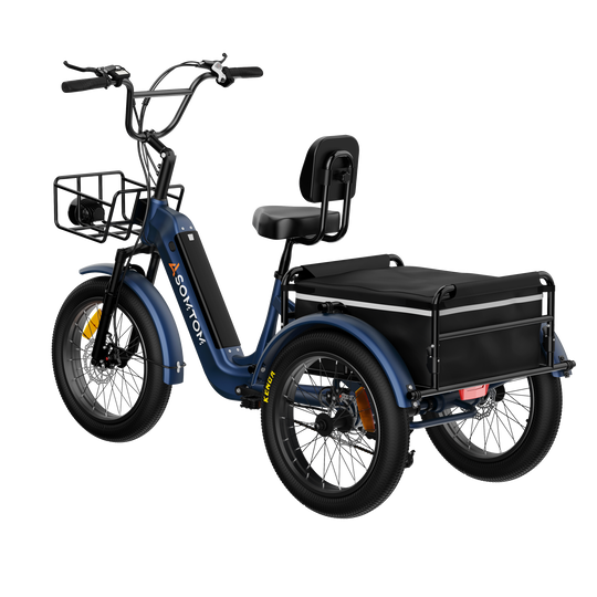 Adult 3-Wheel Cargo Ebike WHALE 2.0 with Canvas Bag