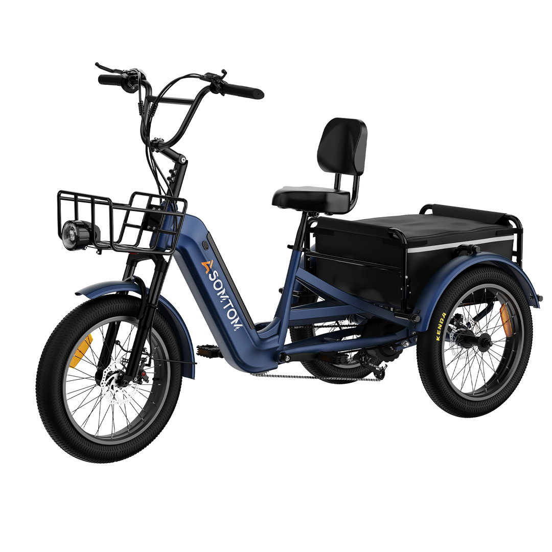 Adult 3-Wheel Cargo Ebike WHALE 2.0 with Canvas Bag