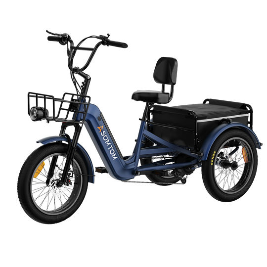 Adult 3-Wheel Cargo Ebike WHALE 2.0 with Canvas Bag