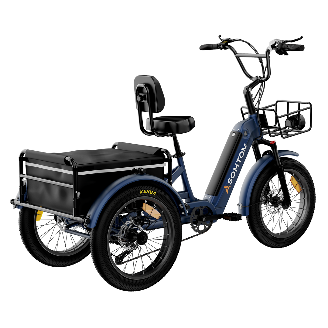 Adult 3-Wheel Cargo Ebike WHALE 2.0 with Canvas Bag