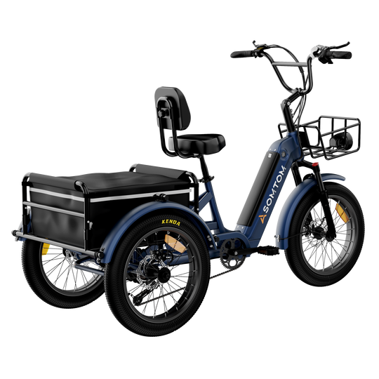 Adult 3-Wheel Cargo Ebike WHALE 2.0 with Canvas Bag