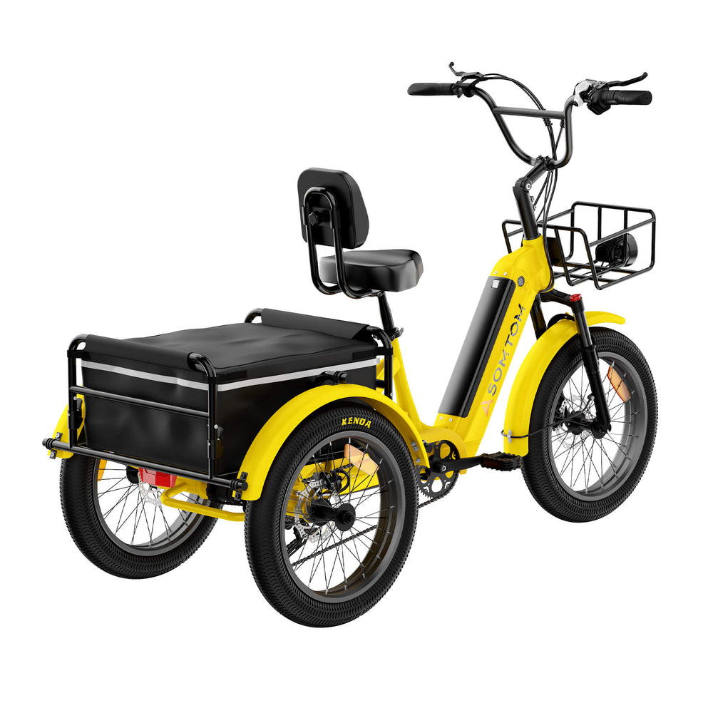 Adult 3-Wheel Cargo Ebike WHALE 2.0 - Asomtom Ebike