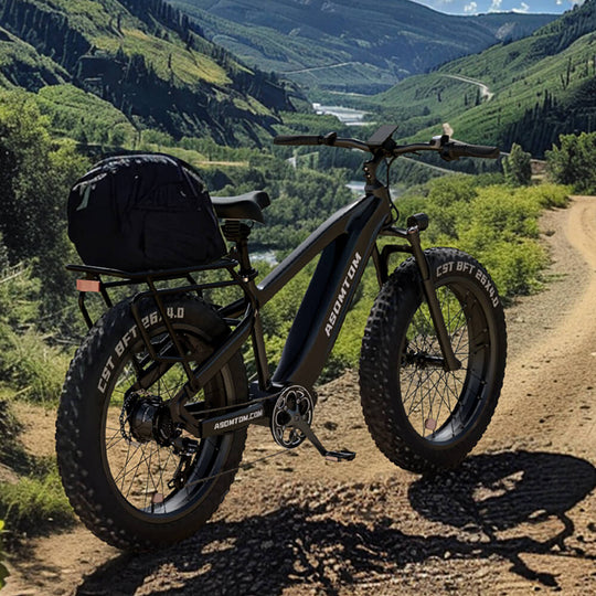 All-Terrain Adventure Explorer Q7 - Asomtom Ebike