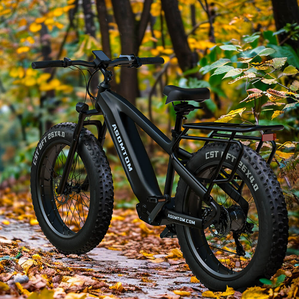 All-Terrain Adventure Q7 - Asomtom Ebike