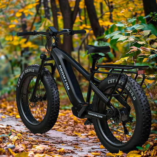 All-Terrain Adventure Q7 - Asomtom Ebike