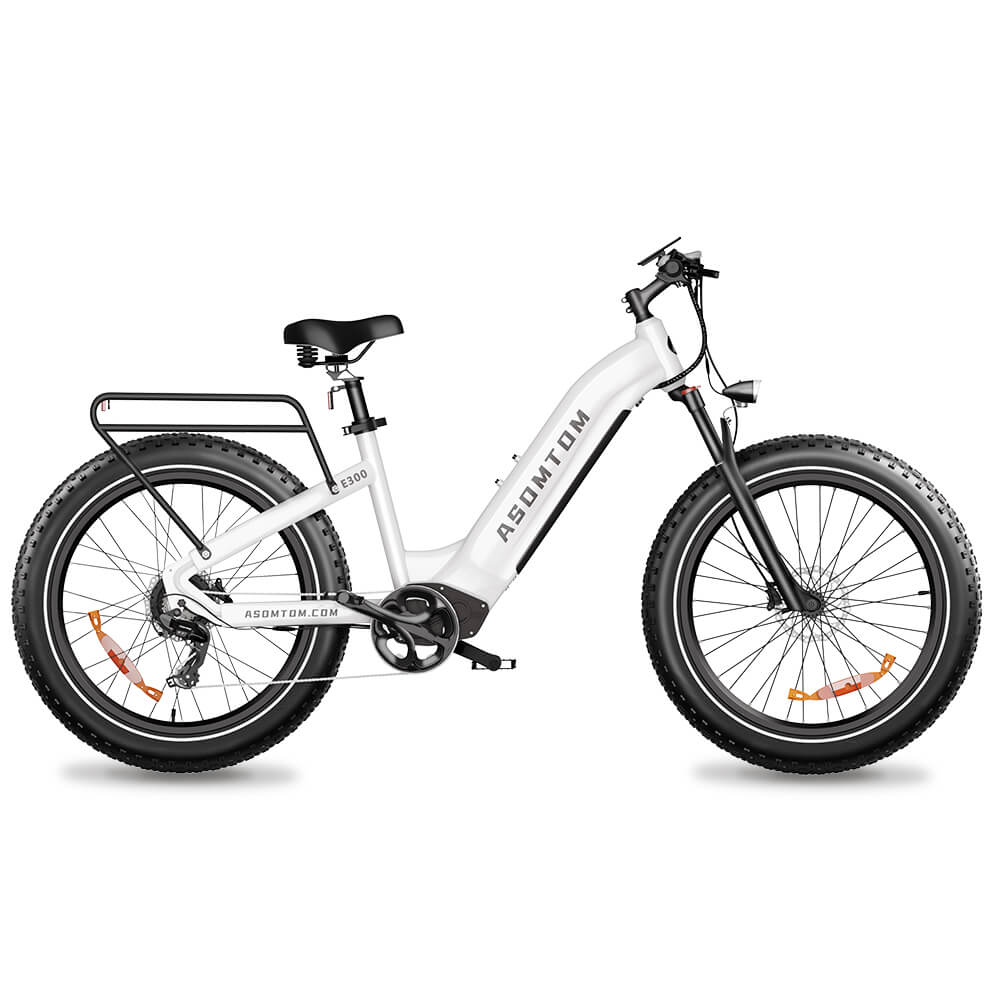 electric bicycle under $300 X-Treme Trail Climber 24V 300W Step-Through Bike, Black and a RST hydraulic front fork. NIU - BQi Fat Tire
