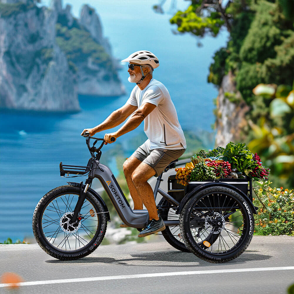 High-Capacity Cargo E-Trike WHALE - Asomtom Ebike