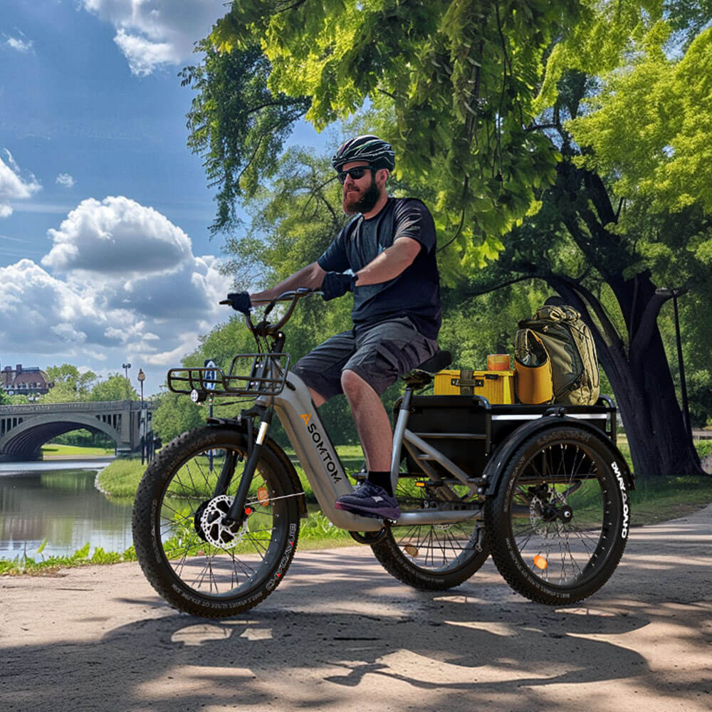 High-Capacity Durable E-Trike WHALE - Asomtom Ebike
