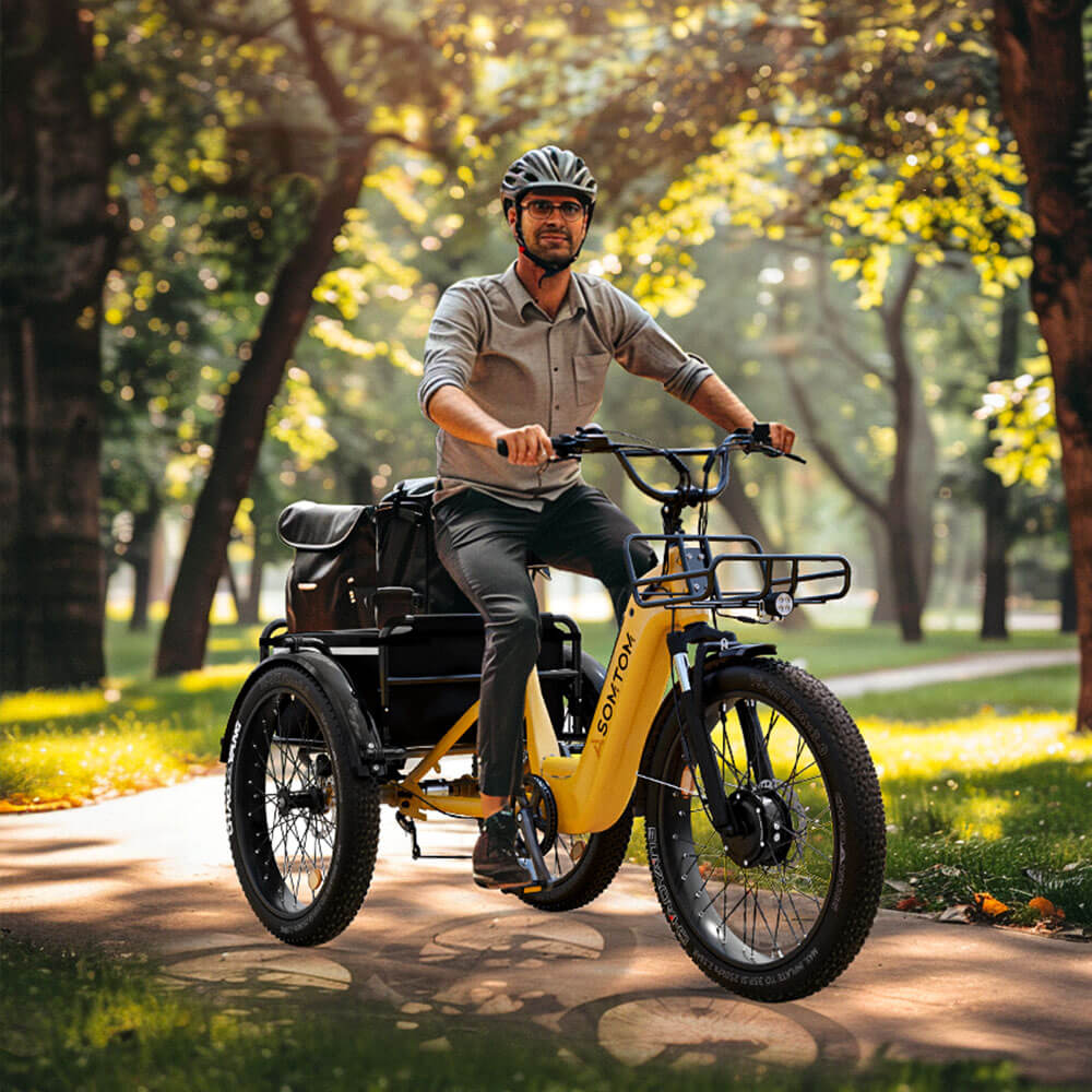 High-Capacity Durable E-Trike WHALE - Asomtom Ebike