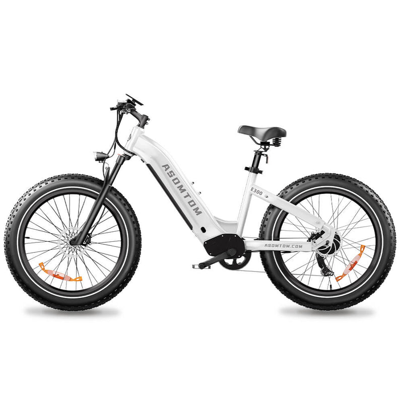 E300 Step-through Electric Bicycle