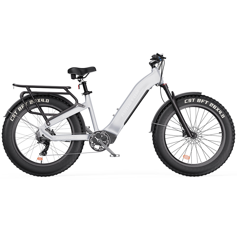 E300 Pro Step-through Electric Bicycle